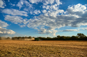 gallery/_dsc4452_001